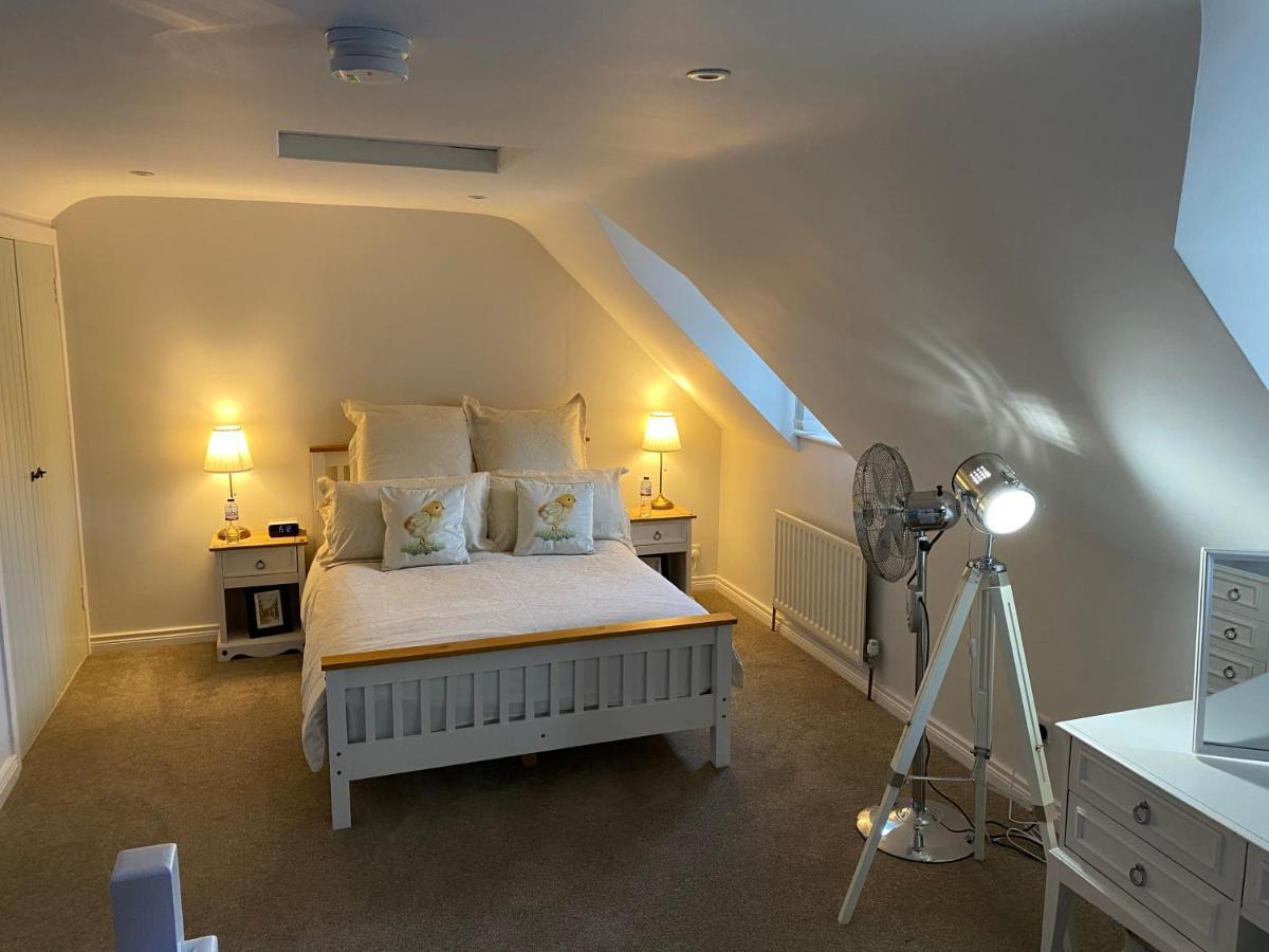 הילסבורו Arthur Street Guest Cottage מראה חיצוני תמונה