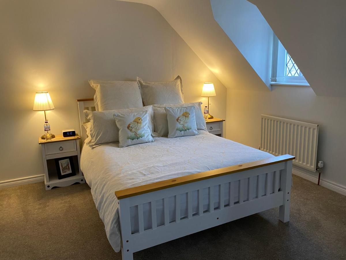 הילסבורו Arthur Street Guest Cottage מראה חיצוני תמונה